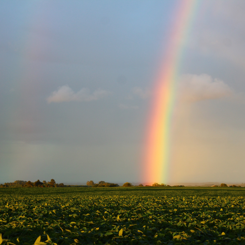 Chakra balancing Rainbow Meditation